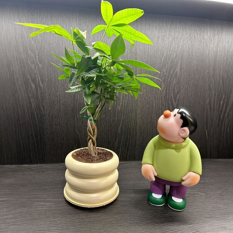 Kotak Buta Besar 23cm Kenangan Masa Kecil Kepala Lucu Miring Goda Takeshi Patung Besar Desktop Ornamen Kecil Hadiah Boneka